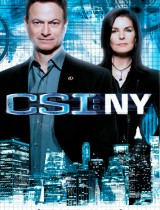 CSI: NY season 8