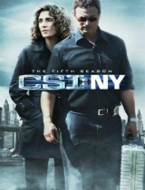 CSI: NY season 5