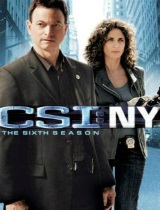 CSI: NY season 6