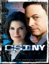 CSI: NY season 7