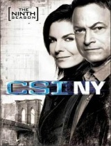 CSI: NY season 9