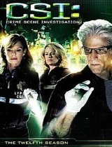 CSI: Crime Scene Investigation season 12
