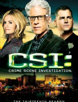 CSI: Crime Scene Investigation season 13