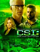 CSI: Crime Scene Investigation season 14