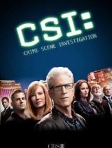 CSI: Crime Scene Investigation season 15
