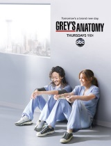 Grey’s Anatomy season 8