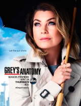 Grey’s Anatomy season 12