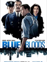 Blue Bloods season 1