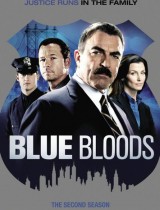 Blue Bloods season 2