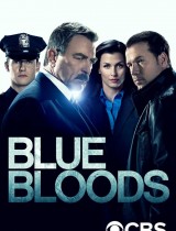 Blue Bloods season 7