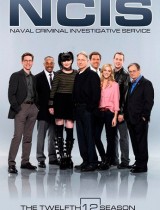 NCIS: Naval Criminal Investigative Service season 12