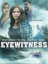 Eyewitness season 1