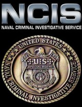 NCIS: Naval Criminal Investigative Service season 15